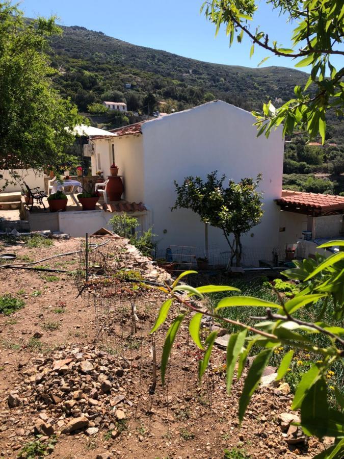 Areti Sea View Mountain Apartment Amigdhalokefali