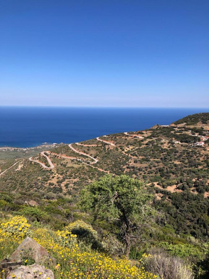 Areti Sea View Mountain Apartment *