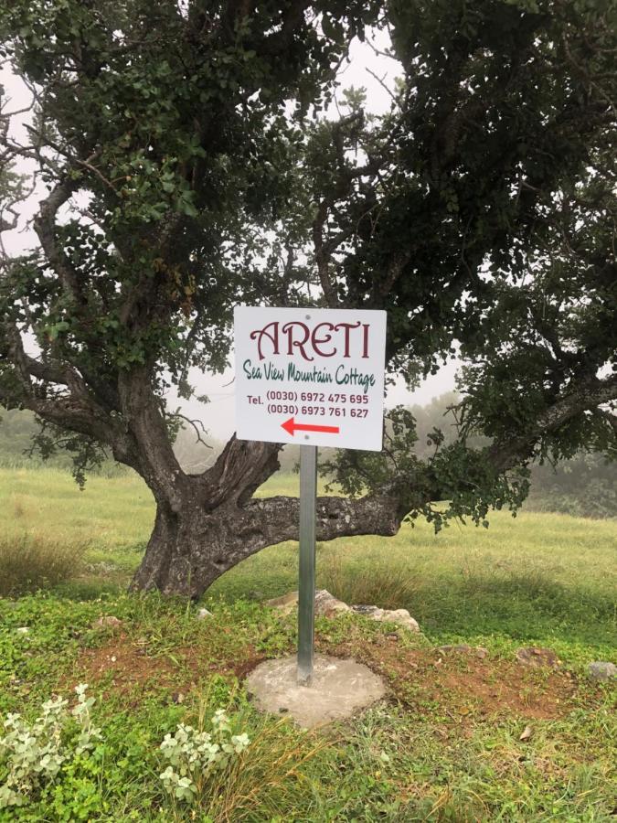 Areti Sea View Mountain Appartamento *