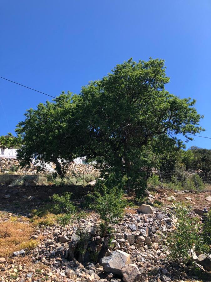 Areti Sea View Mountain Appartamento