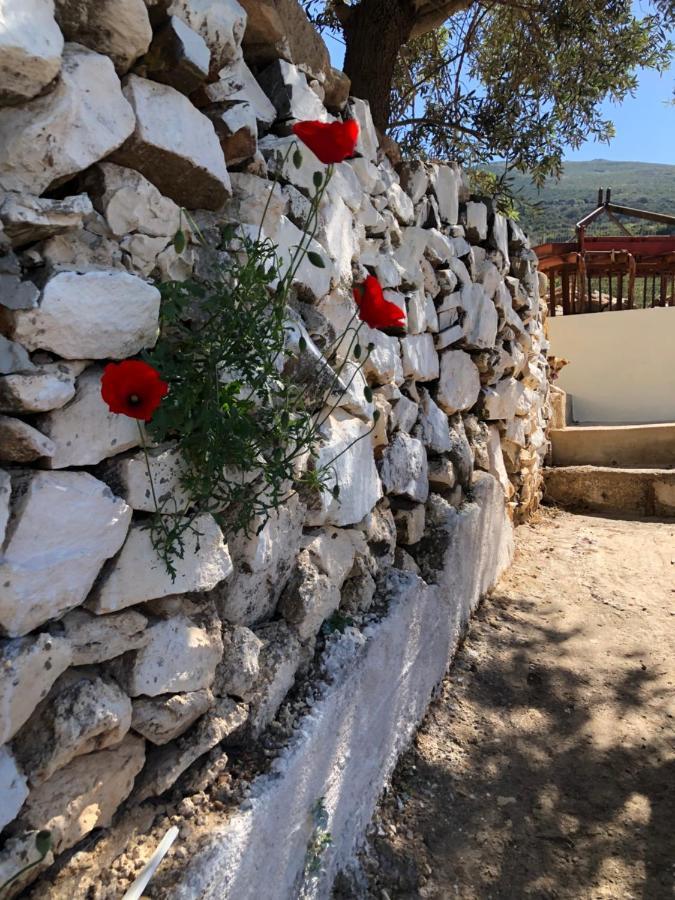 Appartamento Areti Sea View Mountain *